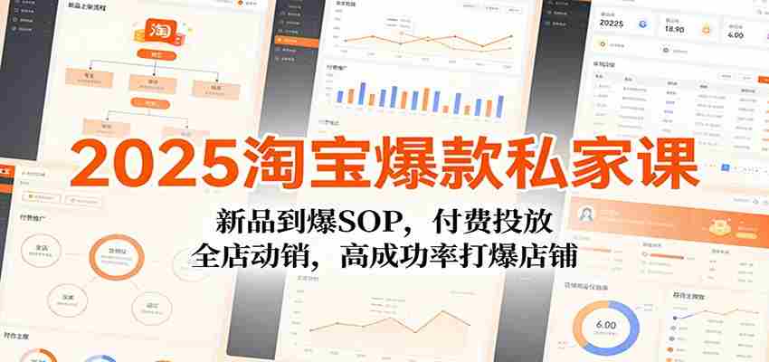 2025淘宝爆款私家课：新品到爆SOP，付费投放，全店动销，高成功率打爆店铺-副业部