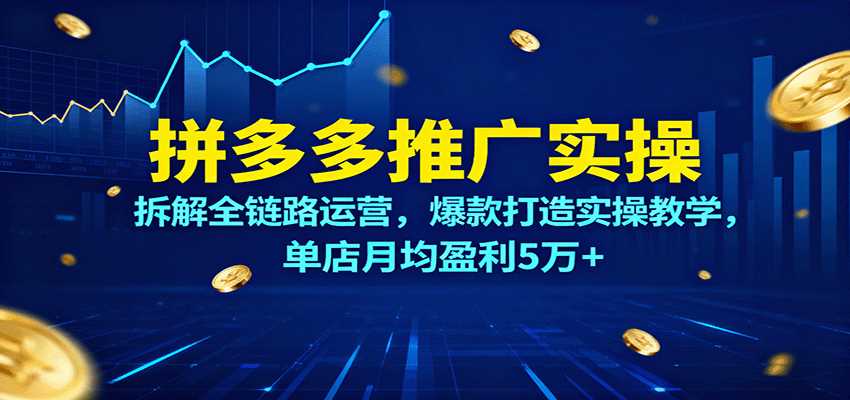 拼多多推广实操，拆解全链路运营，爆款打造实操教学，单店月均盈利5万+-副业部
