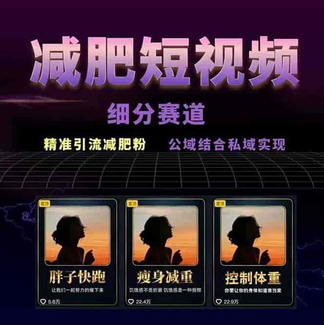图片[1]-（15788期）减肥短视频赛道运营课：素材准备-视频制作-引流变现全流程 (附素材)
