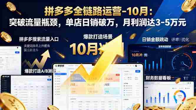 （16462期）拼多多全链路运营-10月：突破流量瓶颈，单店日销破万，月利润达3-5万元-副业部