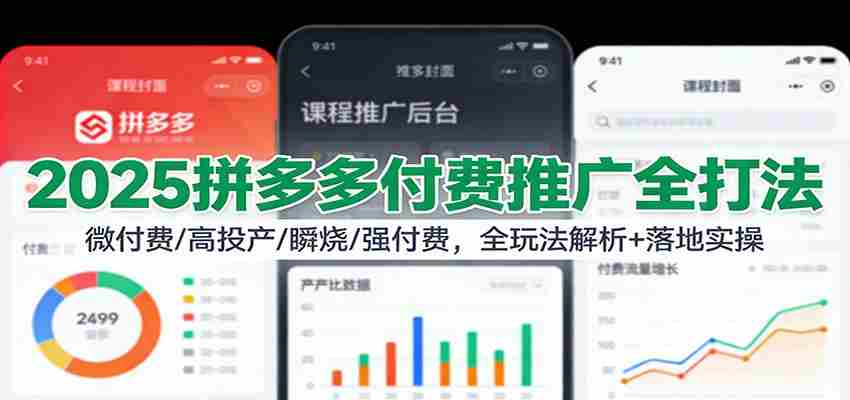 2025拼多多付费推广全打法：微付费/高投产/瞬烧/强付费，全玩法解析+落地实操-副业部