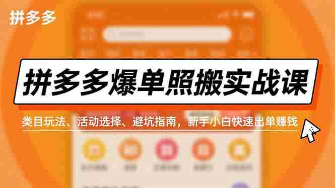 （16838期）拼多多爆单照搬实战课，类目玩法、活动选择、避坑指南，新手小白快速出单赚钱-副业部
