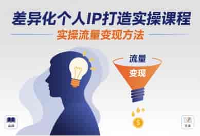差异化个人IP打造实操课程,实操流量变现方法