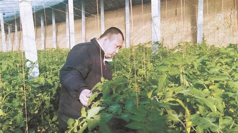 图片[1]-陕西加强残疾人职业技能和实用技术培训 为残障群体就业铺路搭桥-副业部