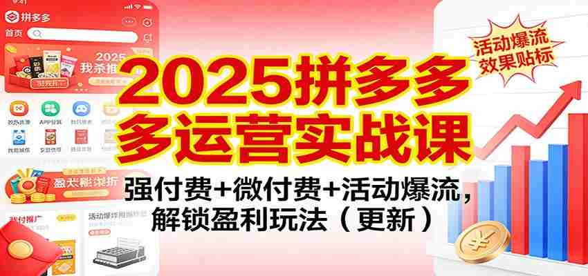 2025拼多多运营实战课：强付费+微付费+活动爆流，解锁盈利玩法（更新）-副业部
