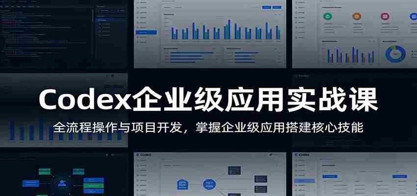 Codex企业级应用实战课:全流程操作与项目开发,掌握企业级应用搭建核心技能-副业部