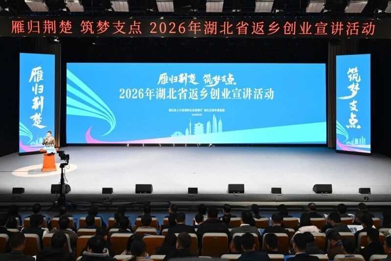图片[1]-“家乡有舞台，回来一样能闯出一片天地”-副业部