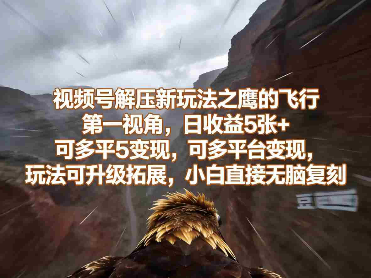 视频号解压新玩法之鹰的飞行第一视角，日收益5张+，可多平台变现，玩法可升级拓展，小白直接无脑复刻-副业部