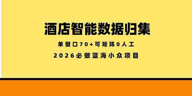 （18500期）酒店智能数据归集，小众蓝海已经稳定半年之久，单窗口70+零成本矩阵开干-副业部
