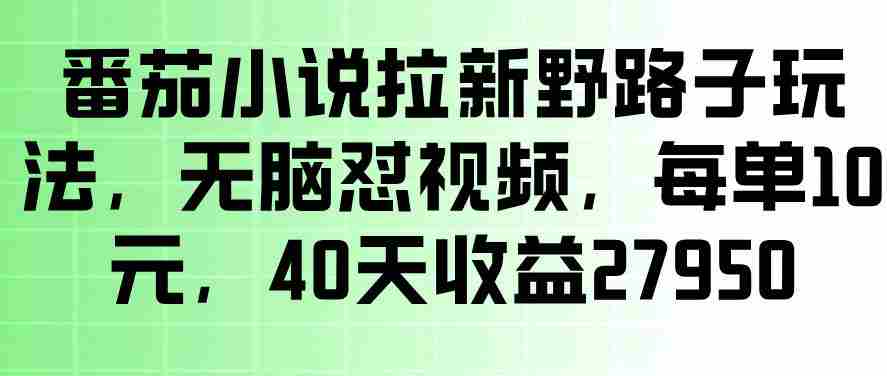 番茄小说拉新野路子玩法，无脑怼视频，玩法简单、见效快，每单10米，40天收益27950-副业部
