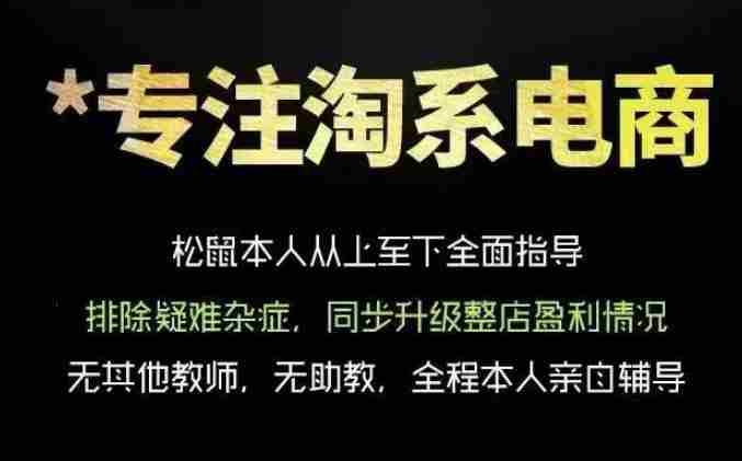 松鼠会电商VIP课程，从基础布局到高阶优化，助你掌握淘宝运营逻辑，提升店铺流量与转化-副业部