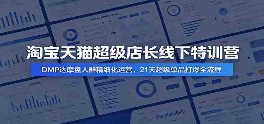 淘宝天猫超级店长线下特训营:DMP达摩盘人群精细化运营,21天超级单品打爆全流程-副业部