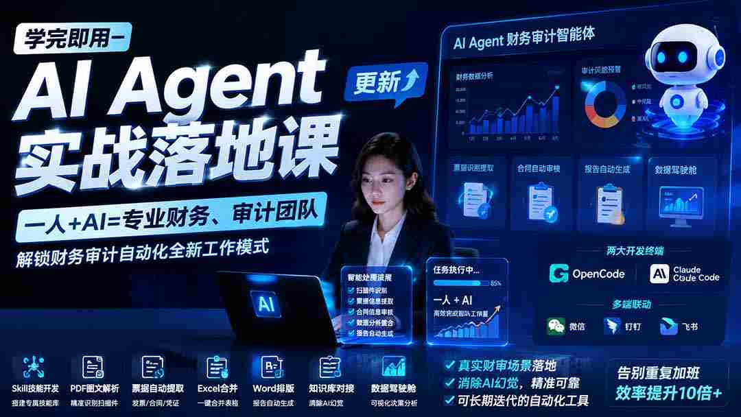 （19740期）学完即用—AI Agent实战落地课-更新：一人+AI=专业财务、审计团队，解锁财务审计自动化全新工作模式-副业部