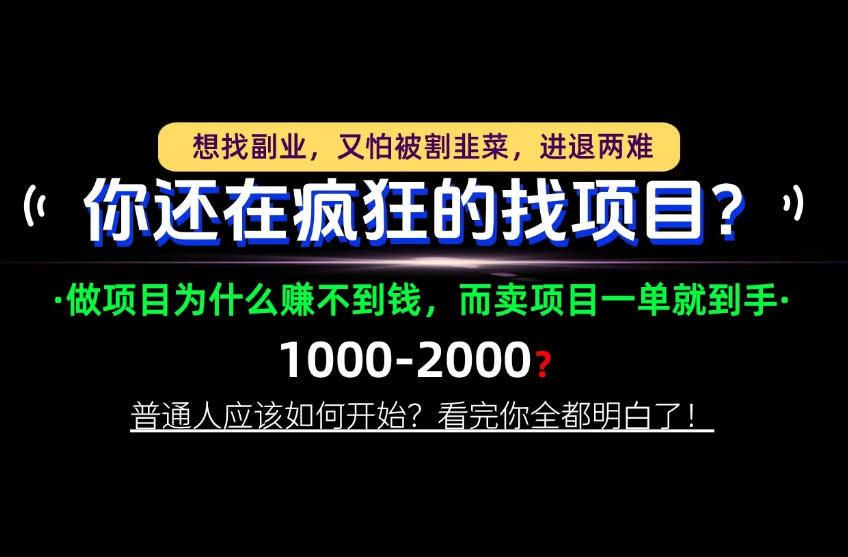 你还在疯狂的找项目？别傻了！卖项目才是真正的一本万利！怎么做，看完你全都明白！【揭秘】-副业部