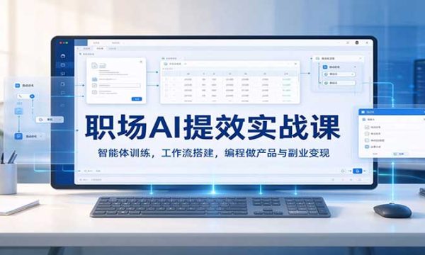 职场AI提效实战课：智能体训练，工作流搭建，编程做产品与副业变现