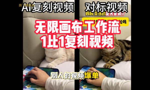 宠物带货视频复刻，无限画布工作流1比1，不用拍摄、不用布景、不用真人出镜，几分钟就能做出一条专业带货视频