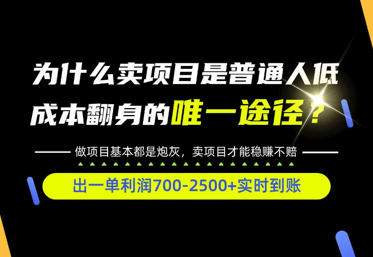 普通人如何靠互联网賺取自己的第一桶金！全类目实操型教学，看完你全都懂了！【揭秘】-副业部