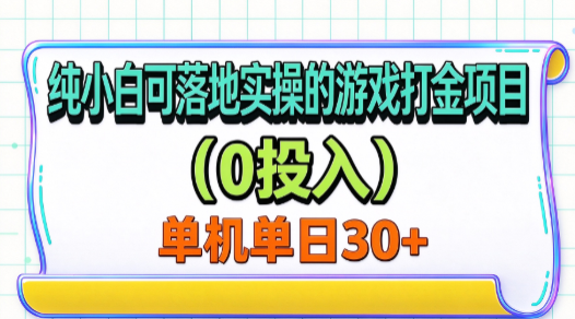纯小白可落地实操的游戏打金项目(0投入)单机单号30+插图 纯小白可落地实操的游戏打金项目(0投入)单机单号30+插图