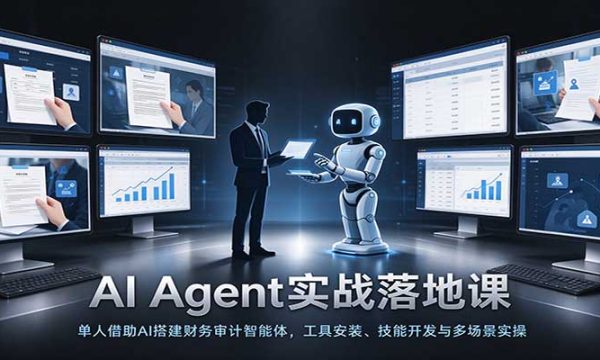 AI Agent实战落地课：单人借助AI搭建财务审计智能体，工具安装、技能开发与多场景实操